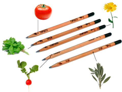 Sprout-pencil-feeldesain11